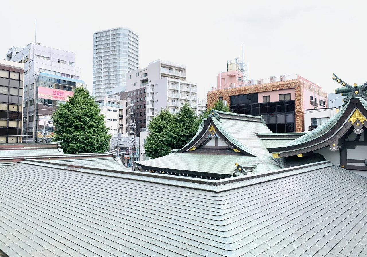 ちば法務司法書士事務所の入口から見た柏神社と柏市街の風景